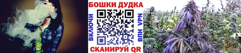 Где купить Кыштым Псилоцибиновые грибы  Меф мяу мяу  ГАШИШ  АМФ  Марихуана  СОЛЬ 