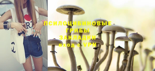 стафф Белокуриха