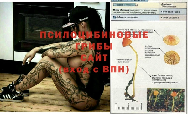 стафф Белокуриха